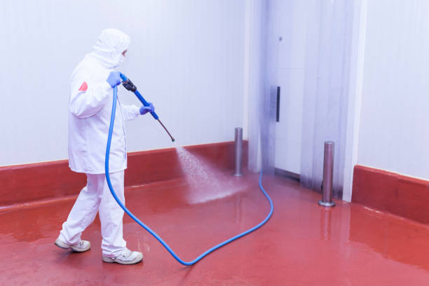 Best Sign and Awning Cleaning  in Picayune, MS